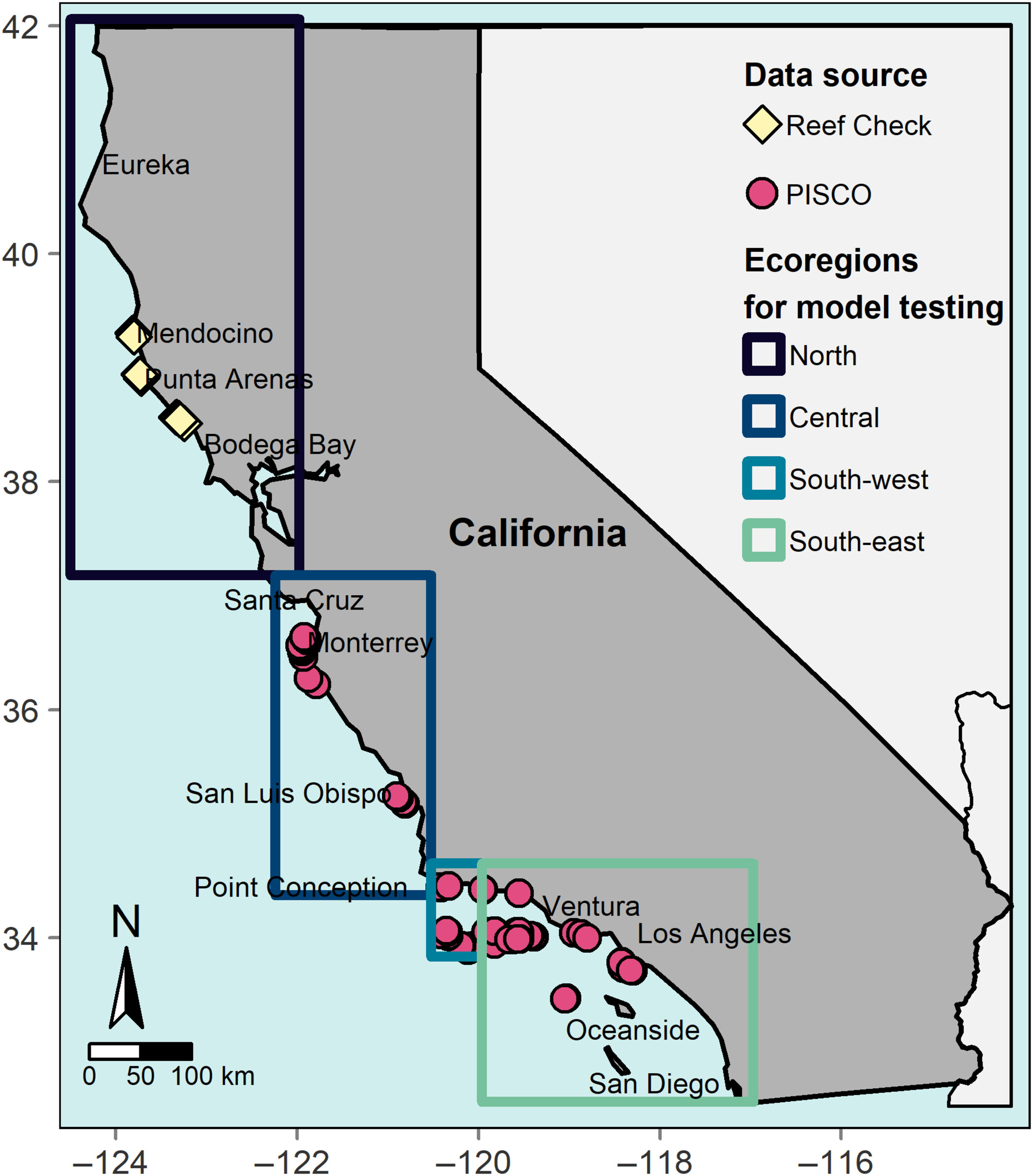 Drivers of spatiotemporal variability in a marine foundation species