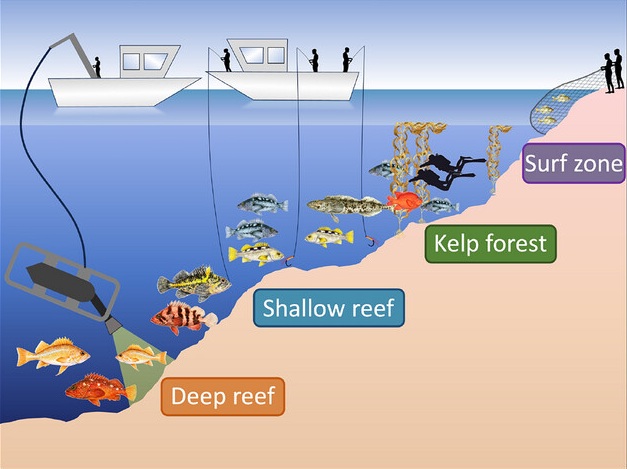 Conservation benefits of a large marine protected area network that spans multiple ecosystems
