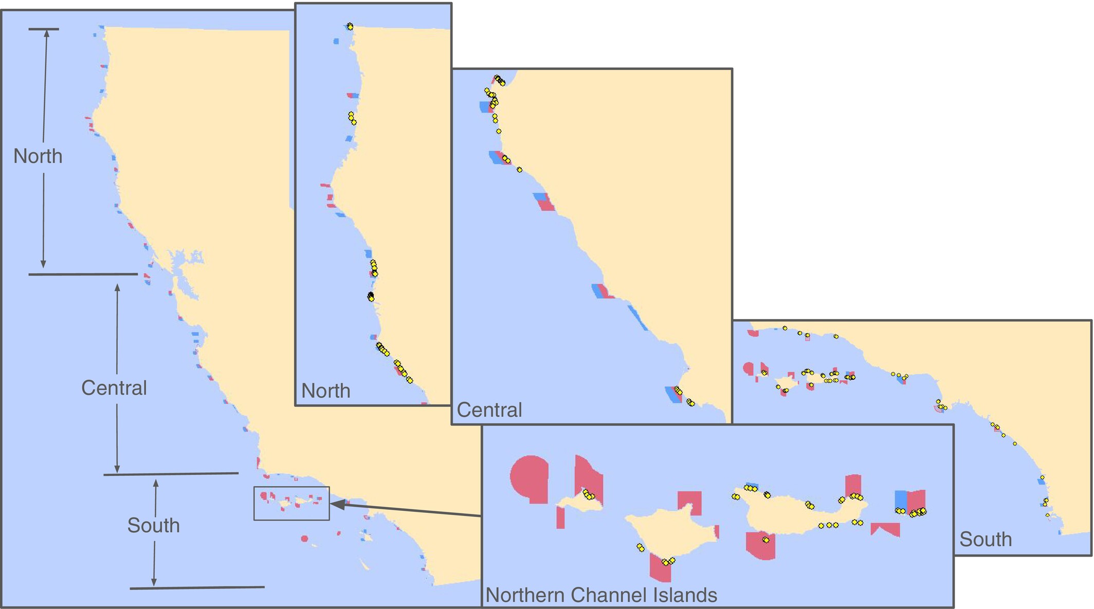Measuring biological effectiveness across a very large, coherent network of coastal marine protected areas
